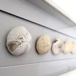 Solaris Villa